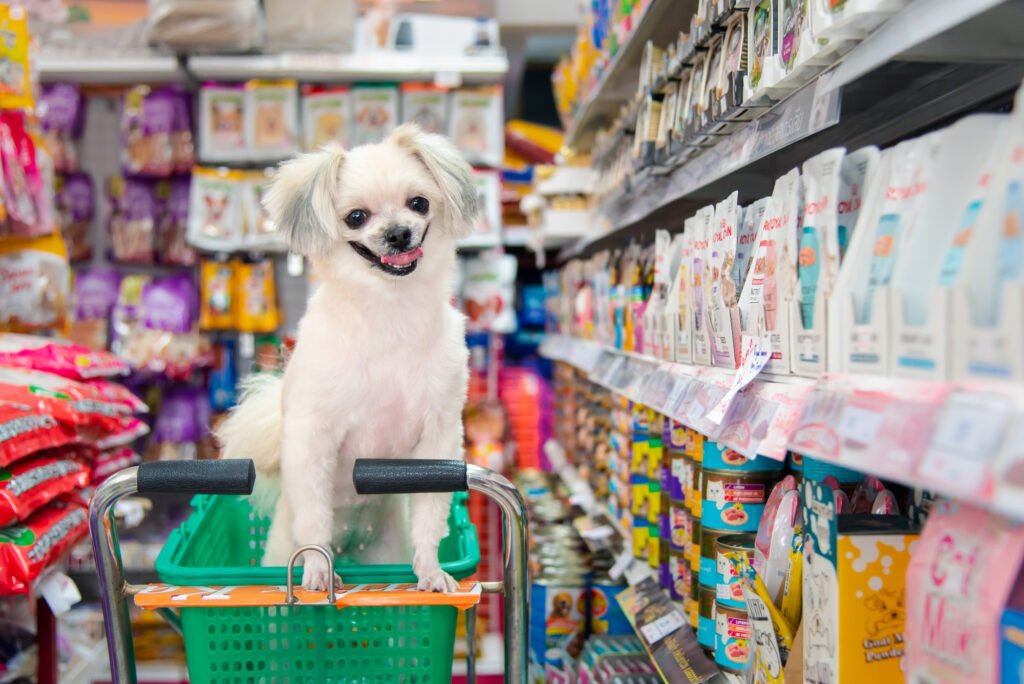 Foto de um cão com seu dono comprando produtos em um petshop.